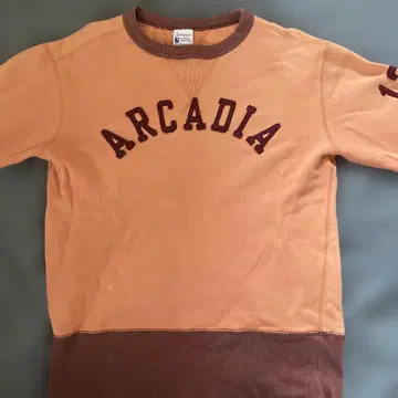 챔피온 ARCADA 트레이닝복 M