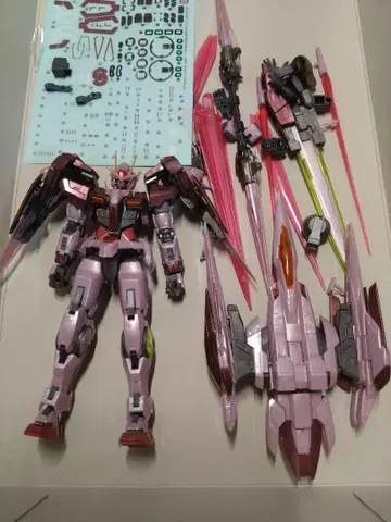 [조립 완료] RG 트랜자임 라이저