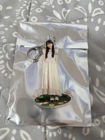 노기사카 카페 2025 세토구치 코즈키 아크릴 키링