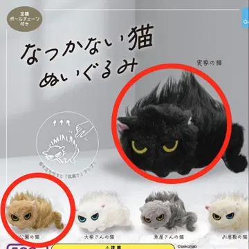 친근하지 않은 고양이 봉제 인형, 집 고양이, 공원 고양이