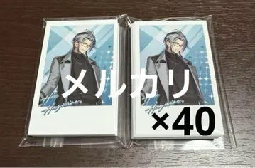 니지산지 헥스 헤이 와이어 hex haywire 폴라로이드 40