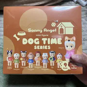 소니 엔젤 도그 타임 모듬 박스
