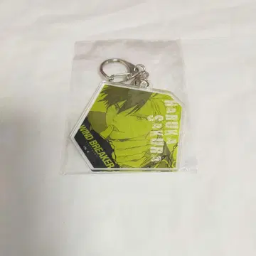 벚꽃 멀리