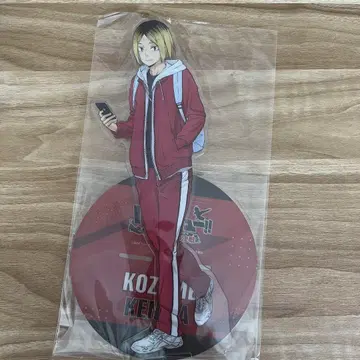 하이큐 쓰레기장의 결전 빅 아크릴 스탠드 천 포스터 색지 코즈메 켄마