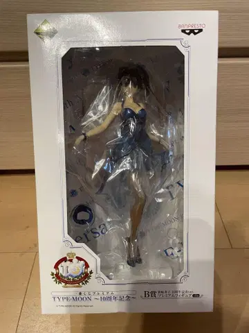 TYPE-MOON 10주년 기념 아오자키 아오코 피규어