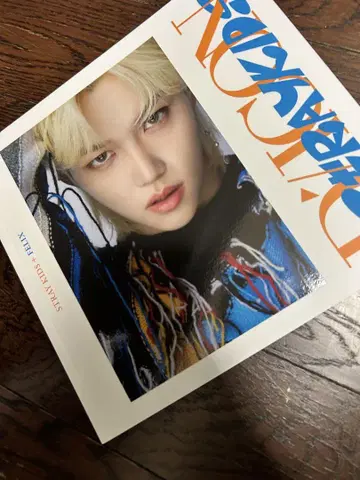 straykids Felix Dicon DEFESTA 필릭스