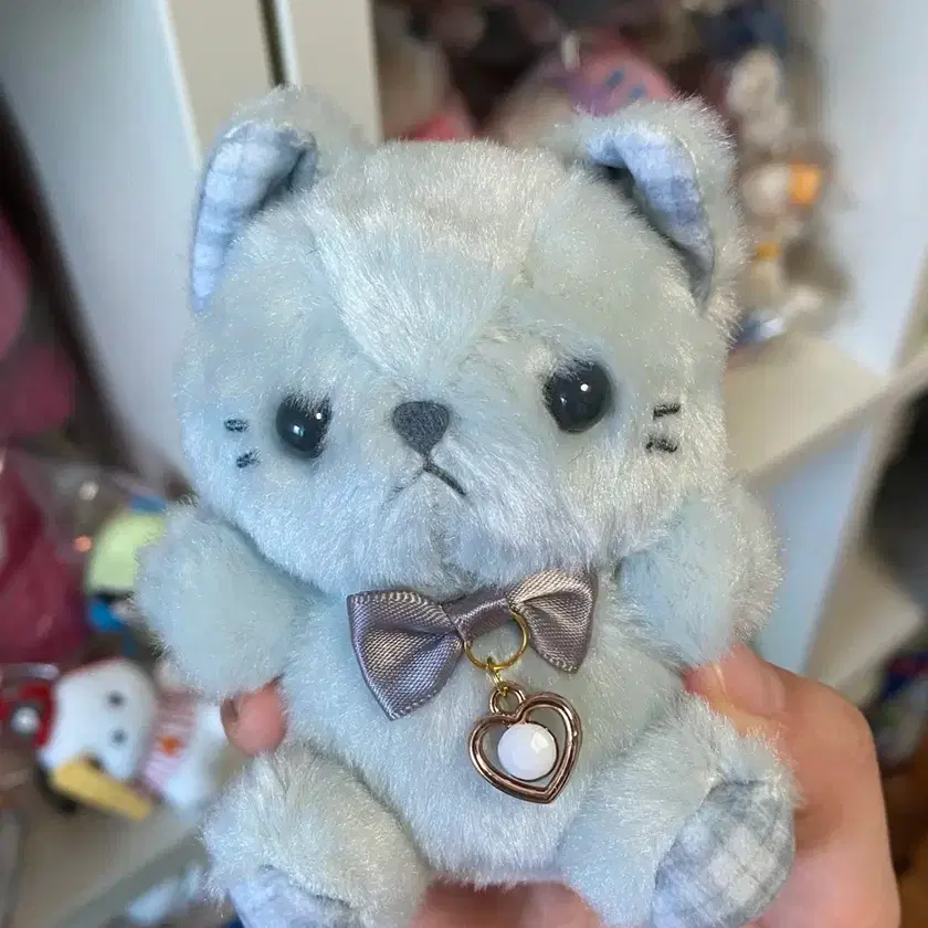 Happy Birthday Pastel Cat June Doll | Bunjang Global
