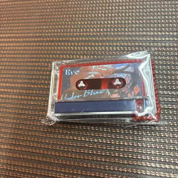 Eve 복권 뮤직 키링 red