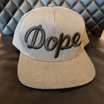 Dope 캡 모자 그레이 로스앤젤레스 STAMPD