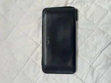 아그네스 비