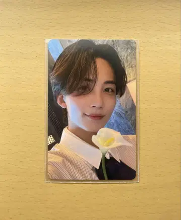 SEVENTEEN 세부치 정한 Dream 공연장 한정판