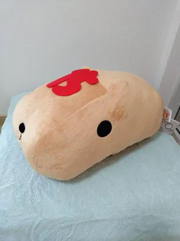 카피바라 씨 봉제 인형