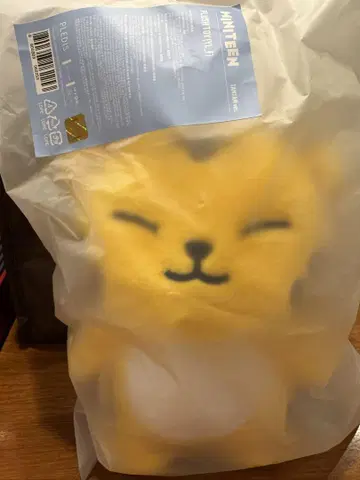 미니 틴 호시
