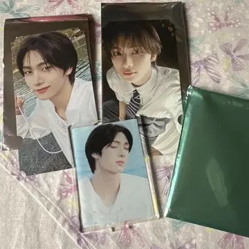 TWS 카페 용제