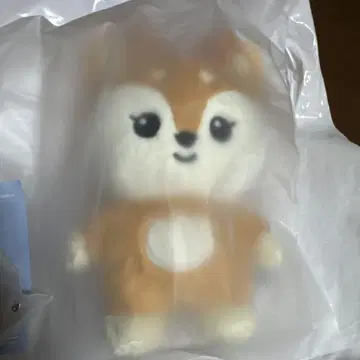 미니 틴 조슈아