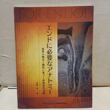 끝에 필요한 해부학 근관의 구조와 기능에 기반한 실용적인 치아 치료