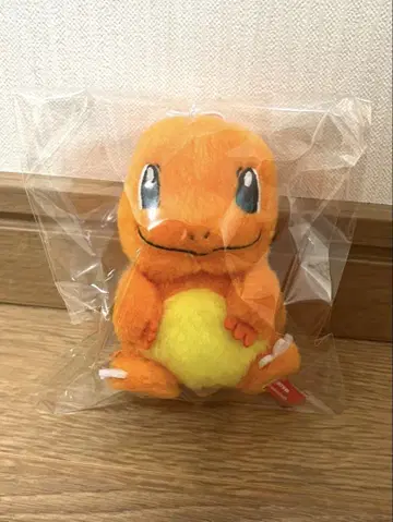 포켓몬 퍼펫 히토카게