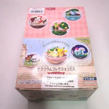 내부 가방 미개봉 포켓몬 테라리움 컬렉션 EX 가랄 지방 편