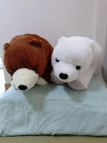 쿠타리 곰돌이 봉제 인형 BIG 곰