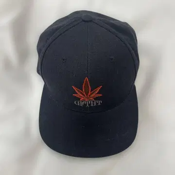 giftthat 블랙 캡 잎 자수