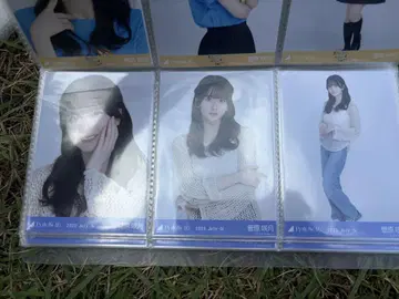 노기자카46 브로마이드 메쉬 니트 스가하라 사츠키 컴프