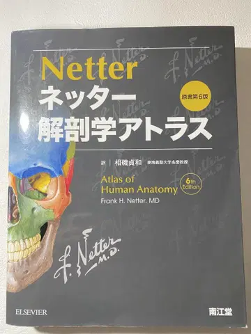 네터 해부학 아틀라스 원서 제6판