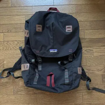 Patagonia 백팩 백팩 26L