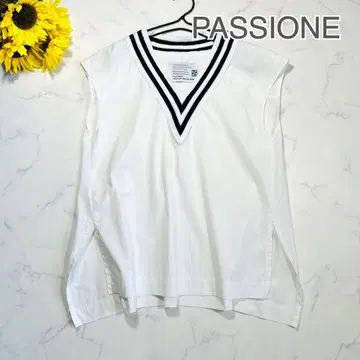 PASSIONE 파시오네 V넥 베스트풍 셔츠