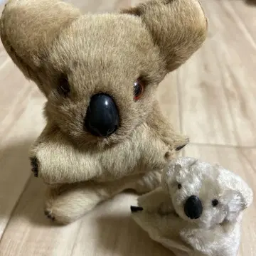 코알라 봉제 인형