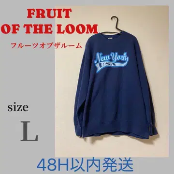 FRUIT OF THE LOOM USA 남성용 맨투맨 트레이닝복 L