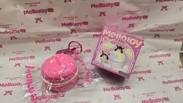 MELLOJOY 스퀴즈