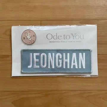 SEVENTEEN 세부치 정한 와펜