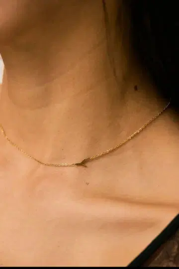 이리비치 루파인 인셜 초커 목걸이