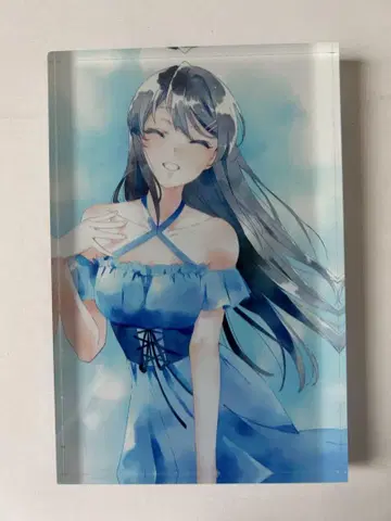 청춘 돼지들 사쿠라지마 마이 아크릴