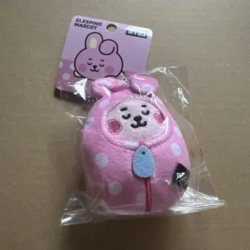 BTS 슬리핑 마스코트 COOKY