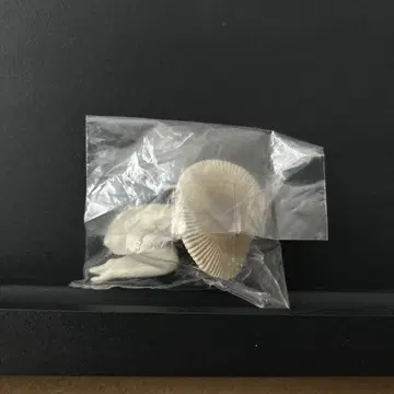 타케다마시코, 위독한 상태
