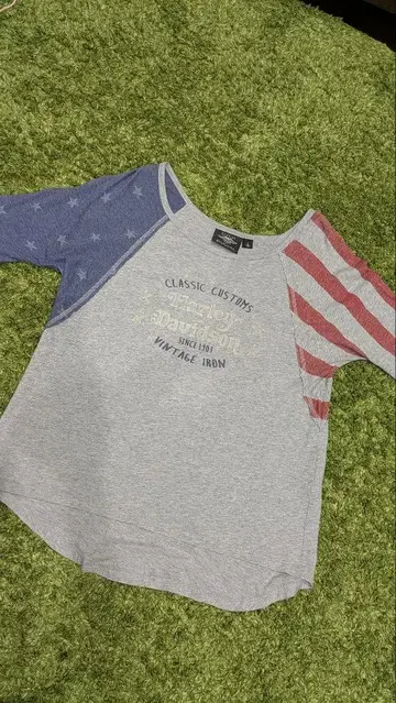 Harley Davidson 미국 국기 빈티지 가공 L 사이즈