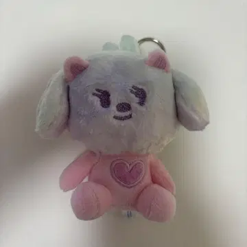 밤구 레인보우 봄규