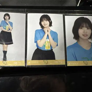 나카니시 아르노 공식 사진 사카미치 시리즈 컴프