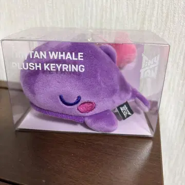 TINY TAN WHALE 봉제 인형 키링