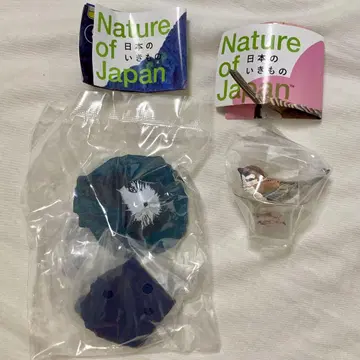 Nature of Japan 일본의 생물 03 참새 후지산 2개 세트