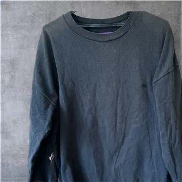 THE NORTH FACE 퍼플 라벨 백 프린트 롱 T