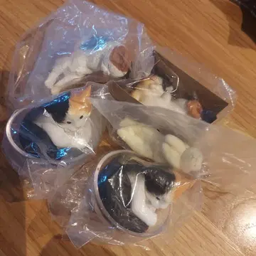캡슐 토이 삼색 고양이