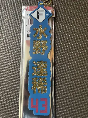 미즈노 타츠키 라메 키링