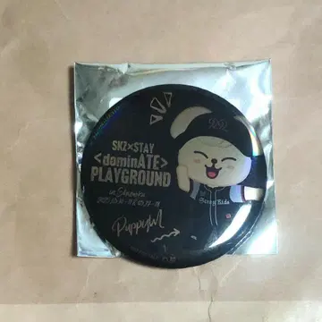 StrayKids 에코파 홀로그램 캔뱃지 퍼핌 승민 skzoo