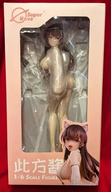 슈퍼 노바 코시카 1/6 PVC