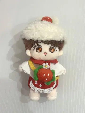 15cm 딸기 의류