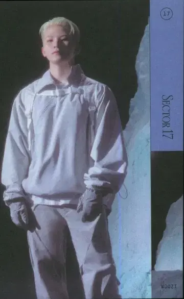 SEVENTEEN SECTOR 17 WOOZI 스티커