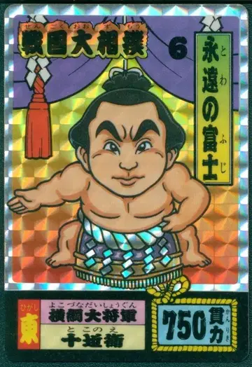 아마다 PP 카드 영원한 후지 6