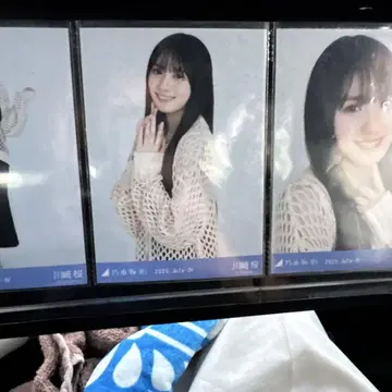가와사키 사쿠라 2025년 7월 니트 가디건
